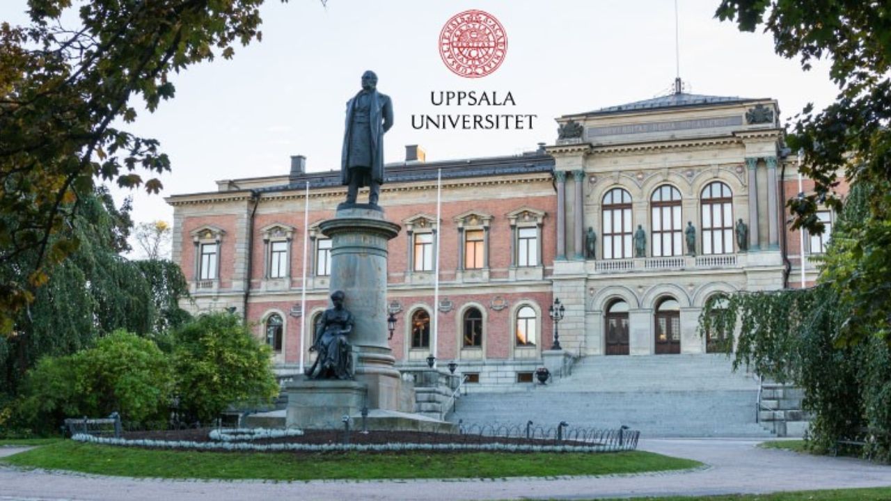 University Banner