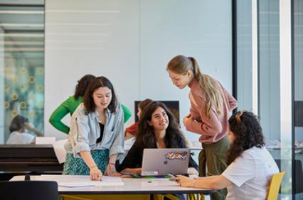 Bachelor's Programme in International Business and Politics