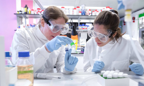 Master's Programme in Biomedical Engineering