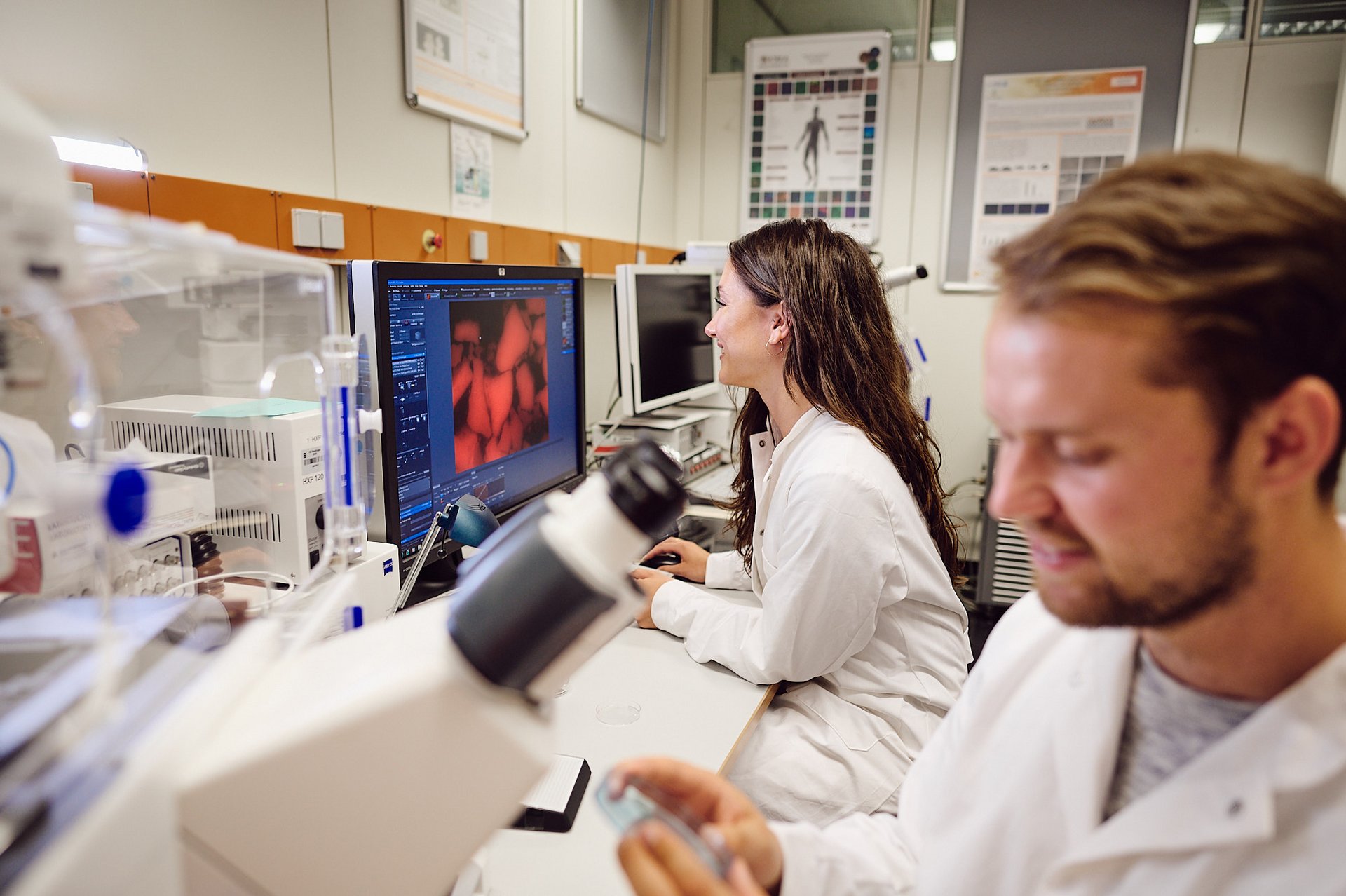 Master's Programme in Biomedicine