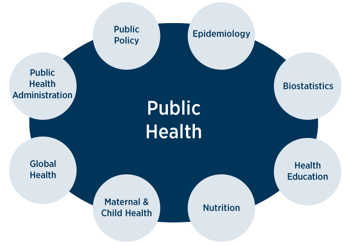 Master's Programme in Public Health