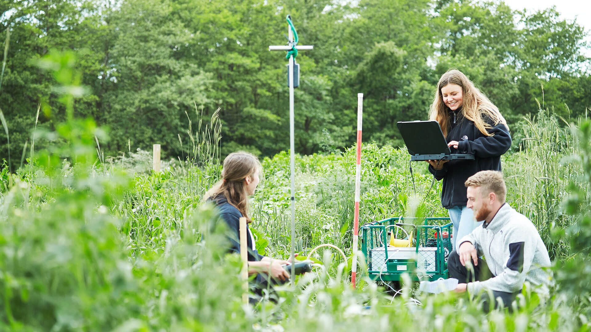 BSc In Environmental Science