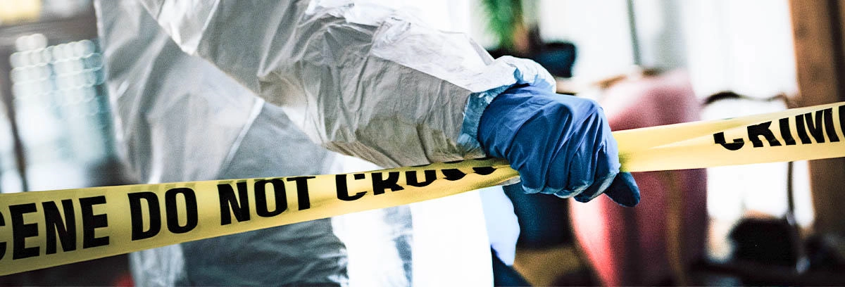 BA In Criminology