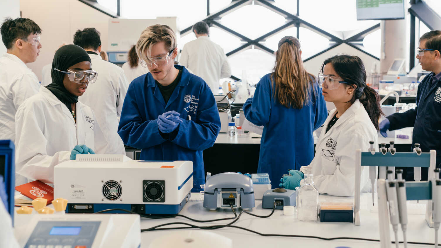 BEng In Biomedical Engineering
