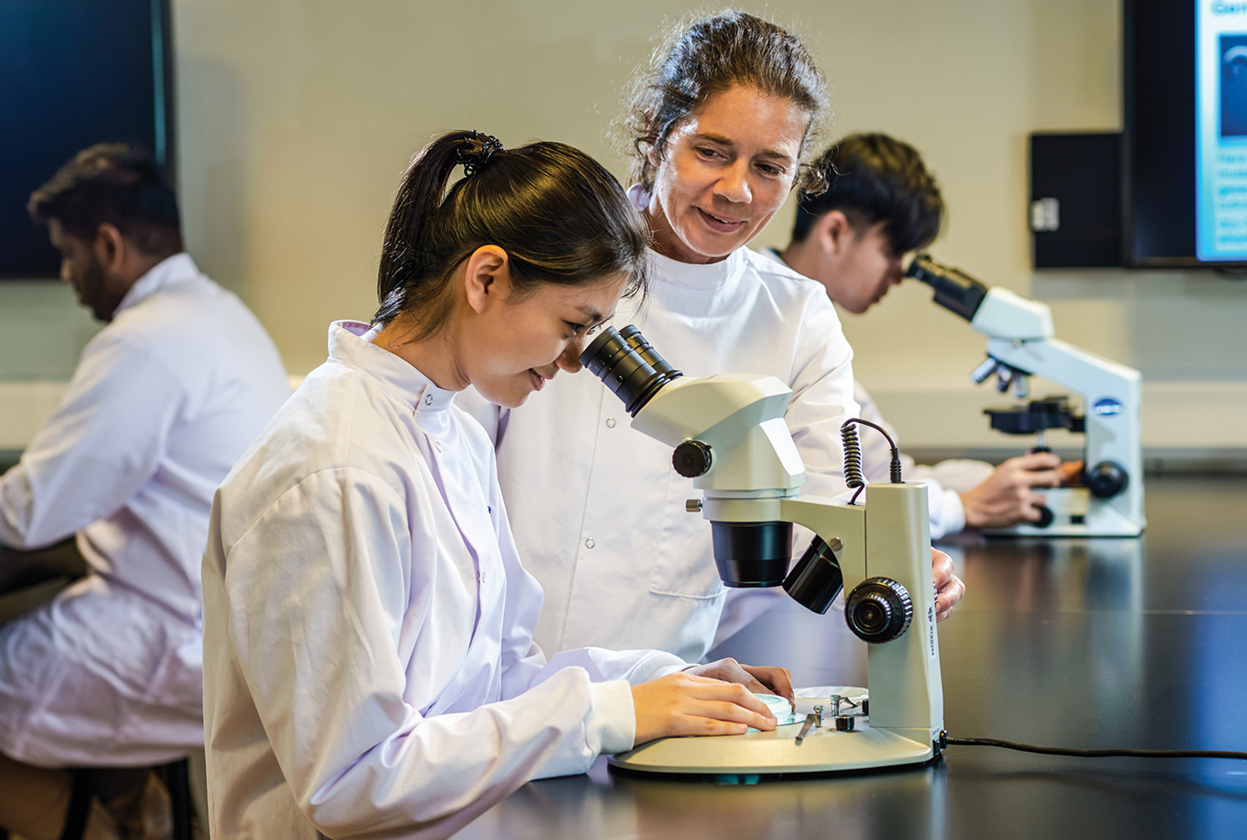 Biomedical Sciences BSc Honours